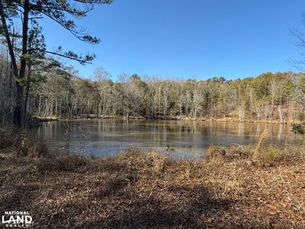 Property in Tuscaloosa County, Alabama