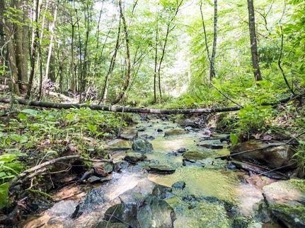 Property for sale in Raleigh County, West Virginia