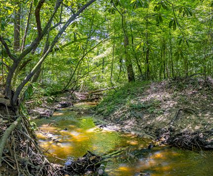 Property for sale in Butler County, Alabama