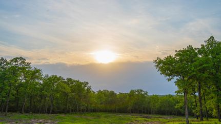 Property for sale in Robertson County, Texas