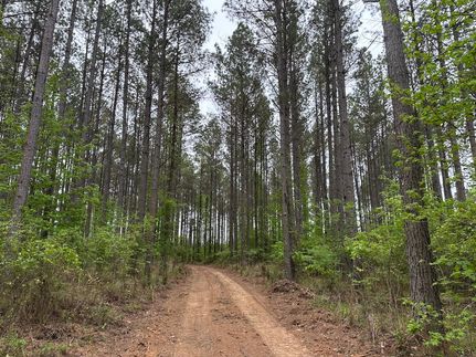 Property for sale in Choctaw County, Mississippi