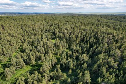 Timberland Property for sale in Crook County, Wyoming