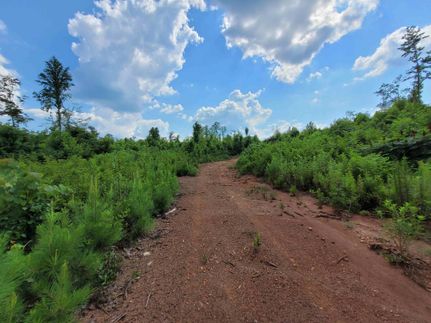 Commercial Property for sale in Lee County, Alabama