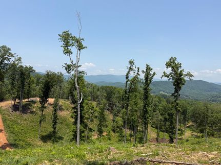 Property for sale in Clay County, North Carolina