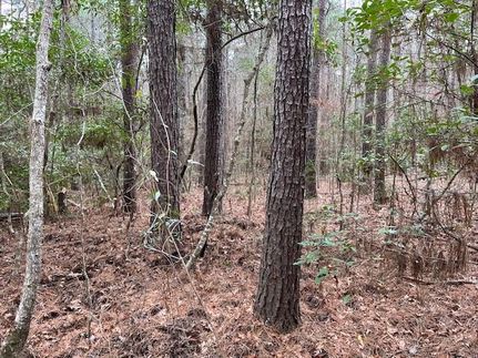 Property for sale in Tyler County, Texas