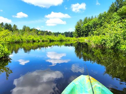 Property for sale in Lewis County, New York