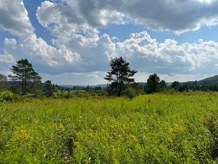 Undeveloped Land for sale in Allegany County, New York