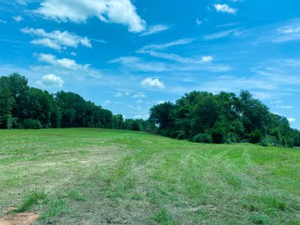 Undeveloped Land for sale in Leon County, Texas