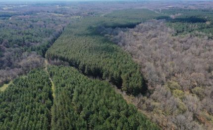 Property for sale in Marshall County, Mississippi