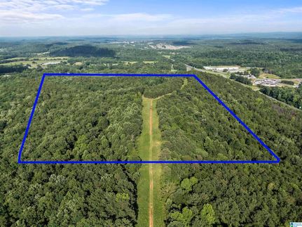 Property in Saint Clair County, Alabama