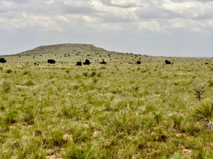 Ranch Property for sale in Guadalupe County, New Mexico