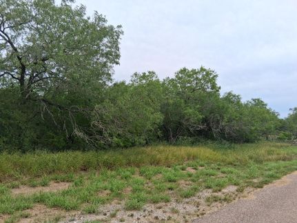 Property for sale in Live Oak County, Texas