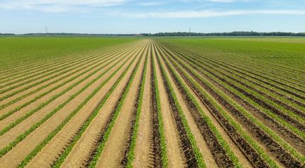 Property in Drew County, Arkansas