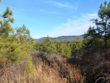 Property for sale in DeKalb County, Alabama