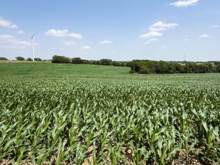 Property for sale in Nodaway County, Missouri