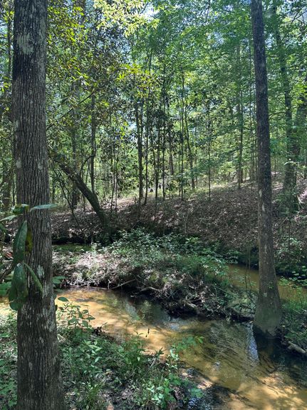 Property for sale in Tyler County, Texas