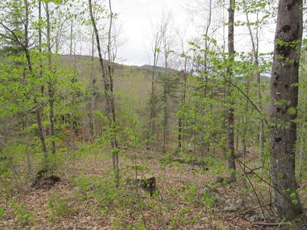 Property for sale in Oxford County, Maine