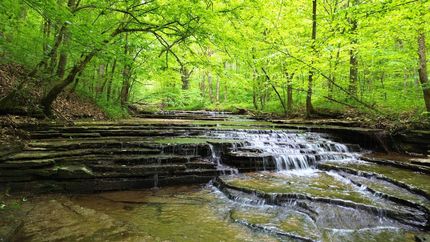 Property for sale in Dickson County, Tennessee