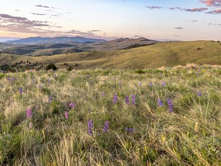 Farm Property for sale in Beaverhead County, Montana