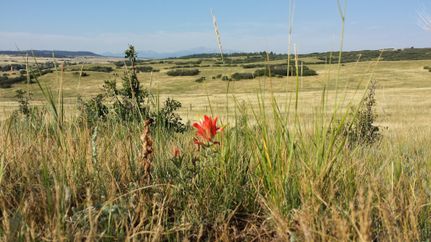 Property for sale in Douglas County, Colorado