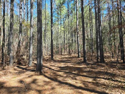 Undeveloped Land for sale in Chambers County, Alabama