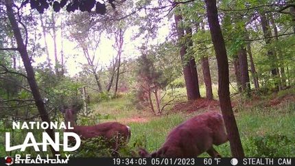 Property in Sussex County, Delaware