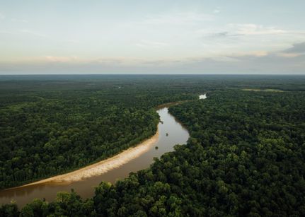 Property in Greene County, Mississippi