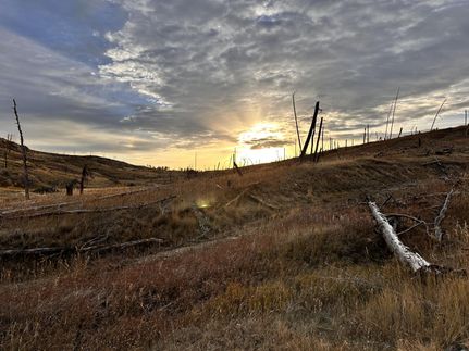 Property for sale in Musselshell County, Montana