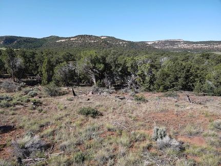 Property in Mesa County, Colorado