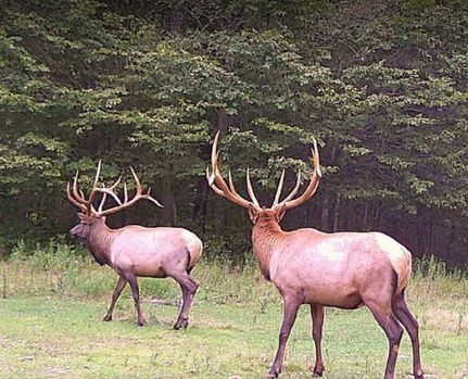 Property in Lycoming County, Pennsylvania