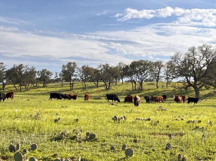 Property for sale in McCulloch County, Texas