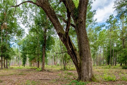 Property for sale in Baker County, Georgia