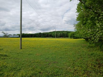 Property in Lawrence County, Alabama