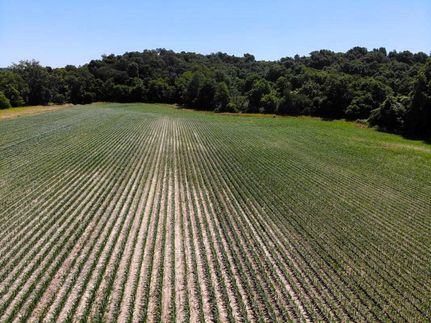 Property in Pike County, Illinois