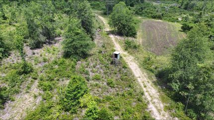 Hunting Land for sale in Dale County, Alabama