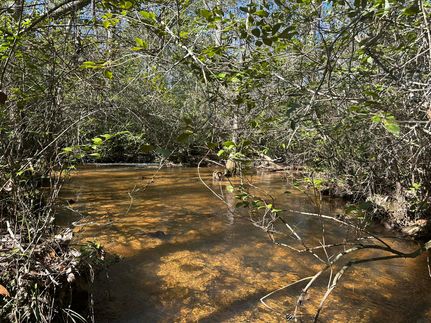 Property for sale in Taylor County, Georgia