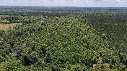 Property in Bienville Parish, Louisiana