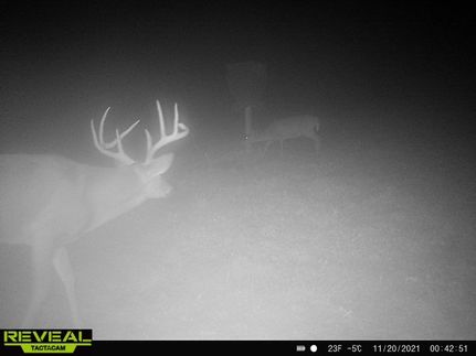 Property in Morgan County, Kentucky