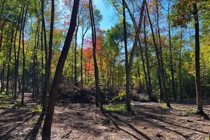 Undeveloped Land for sale in Morrison County, Minnesota