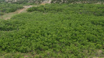 Property in Coke County, Texas