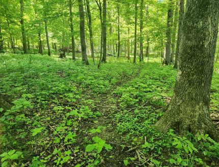 Property for sale in Iowa County, Iowa