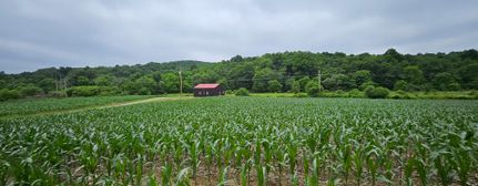 Property for sale in Coshocton County, Ohio