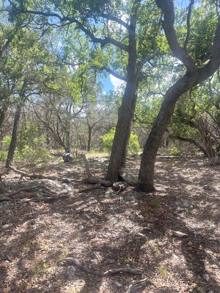 Hunting Land for sale in Real County, Texas