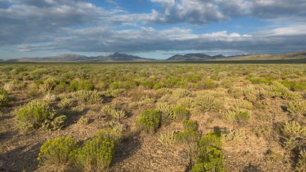 Property for sale in Elko County, Nevada