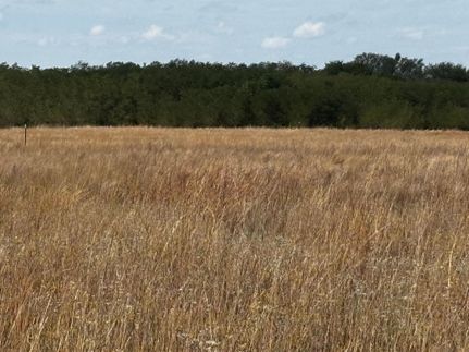 Property for sale in Jackson County, Oklahoma