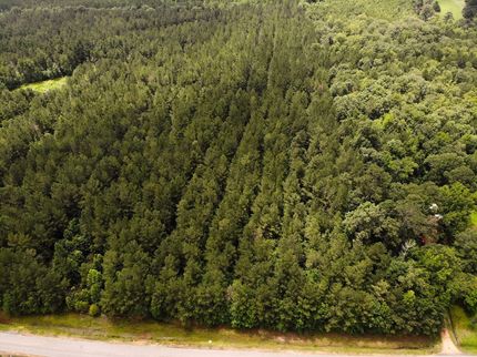 Property for sale in Lowndes County, Mississippi