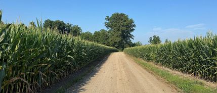 Property in Richmond County, Virginia