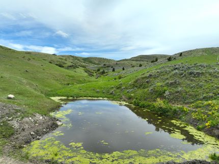 Property in Yellowstone County, Montana