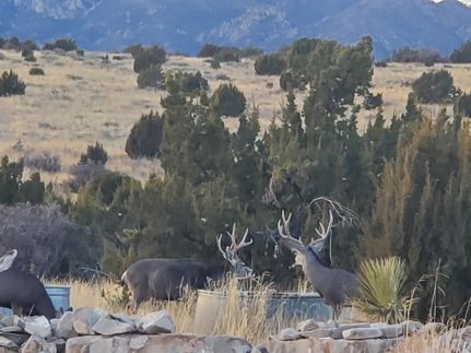 Property in Lincoln County, New Mexico