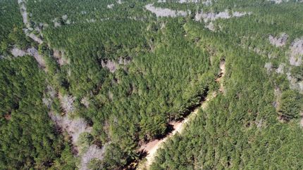 Property for sale in Attala County, Mississippi